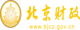 www.肥婆.com北京市财政局