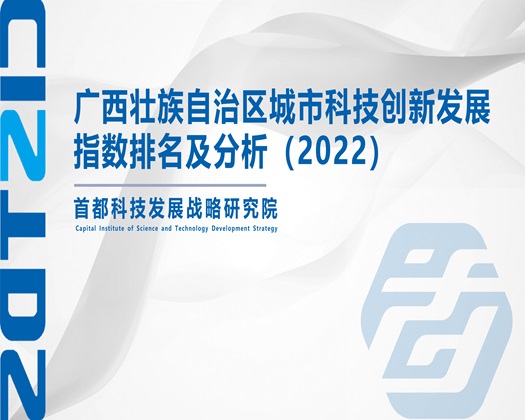 美女大逼【成果发布】广西壮族自治区城市科技创新发展指数排名及分析（2022）